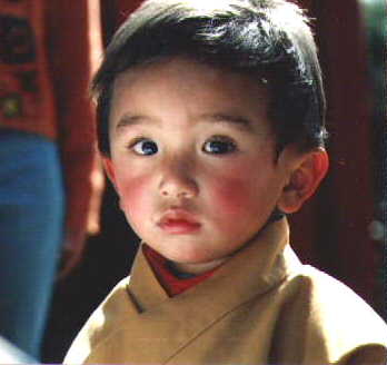 Dujdom Rinpoche 